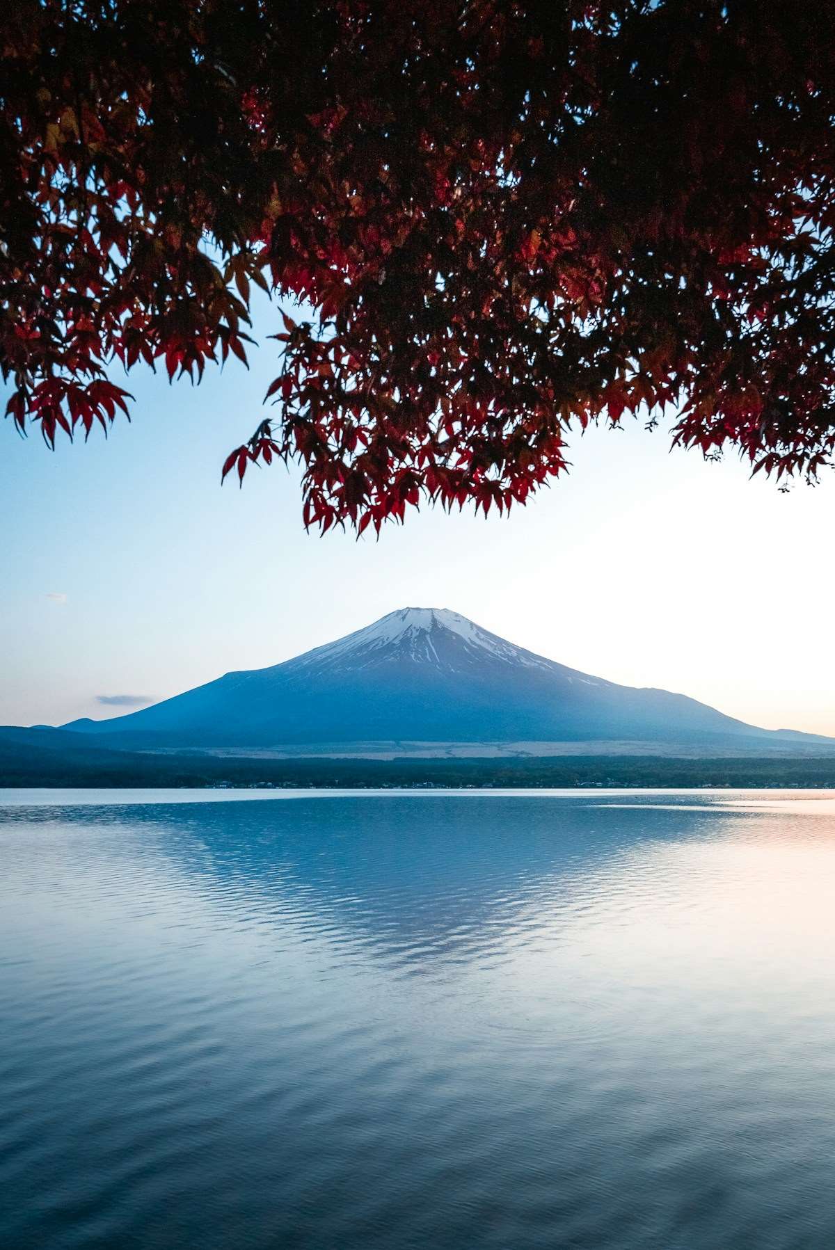 河口湖富士山晴天湖景