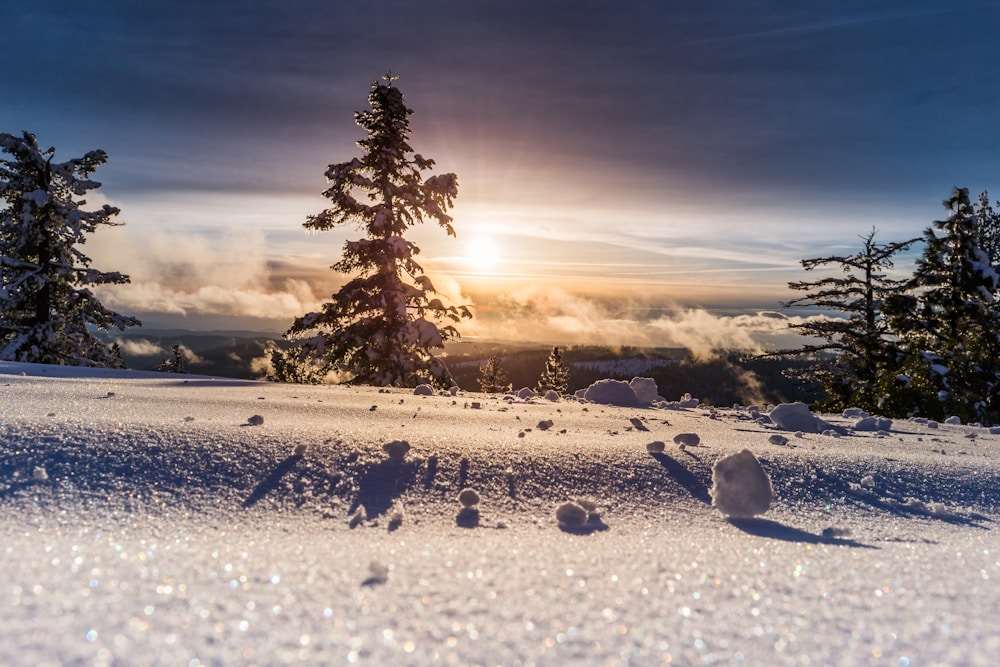 冬天雪景與晴朗天空